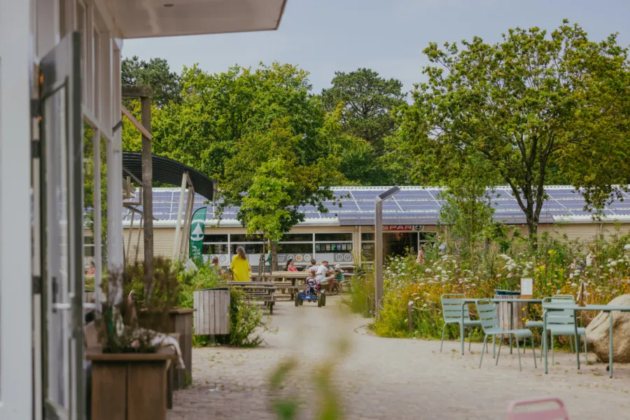 Ontmoetingsplein Bakkum met spar