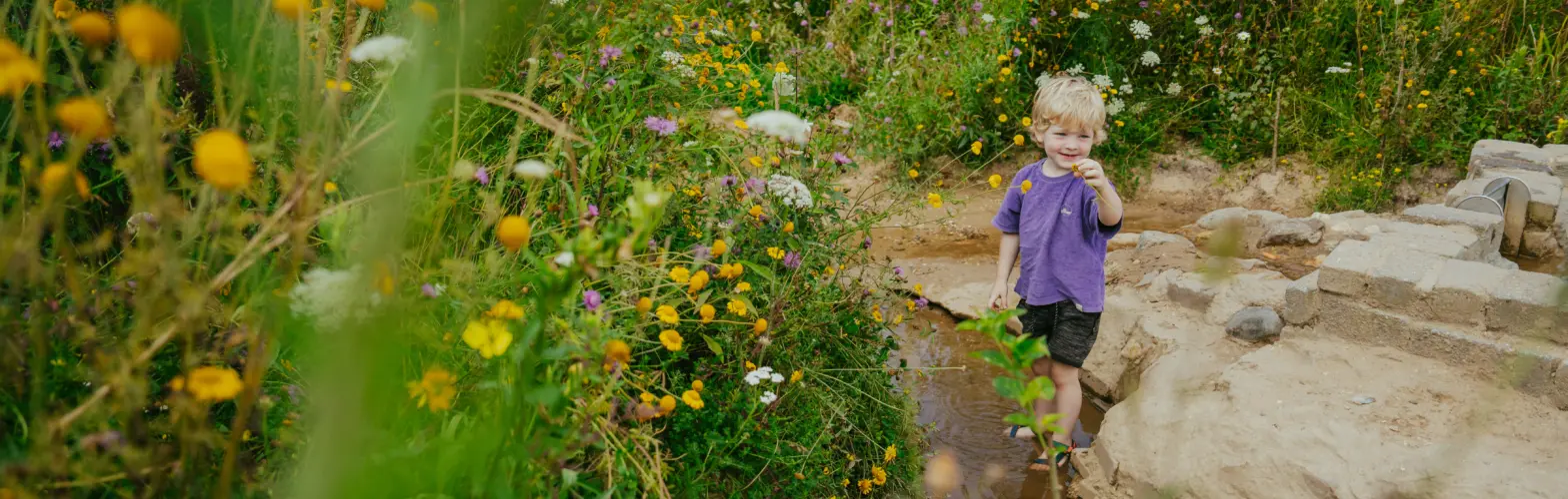 Veel bloemen ontmoetingsplein