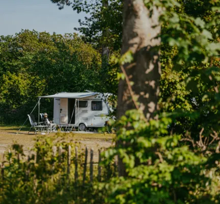 Doorkijkje naar de Bosplaatsen