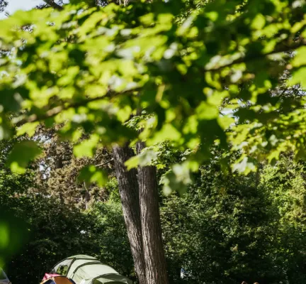 Bosplaatsen Boekje lezen op campingstoeltjes