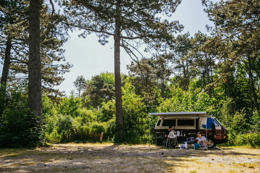 Bosplaatsen kampeerbusje