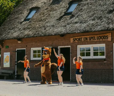 Sport en Spelloods dansen